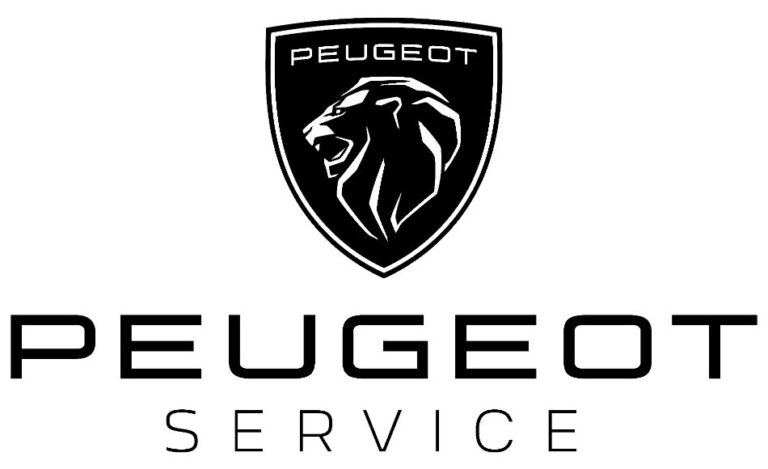 PEUGEOT_SERVICE3